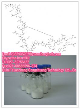 Nesiritide Acetate (Bnp-32) 